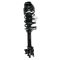 93-01 Nissan Altima Rear Strut Assembly RR