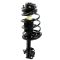 Strut & Spring Assembly Set