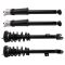 Complete Strut Assembly & Shock Absorber Kit