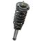 03-06 Kia Sorento Front Shock & Spring Assembly RF