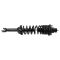 94-97 Honda Accord Rear Shock & Spring Assembly LR