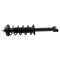 13-17 Honda Accord (exc Hybrid) Rear Shock & Spring Assembly LR=RR