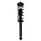Shock & Spring Assembly