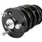 Shock & Spring Assembly