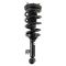 Shock & Spring Assembly