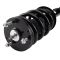 Shock & Spring Assembly