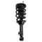 Shock & Spring Assembly