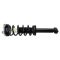 Shock & Spring Assembly