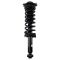 Shock & Spring Assembly