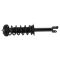 Shock & Spring Assembly
