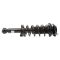 Shock & Spring Assembly