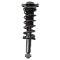 Shock & Spring Assembly