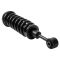 Shock & Spring Assembly