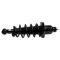 Shock & Spring Assembly