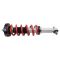 Shock & Spring Assembly Set