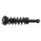 Shock & Spring Assembly