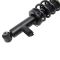 Shock & Spring Assembly