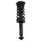 Rear Shock Spring Assembly LR= RR
