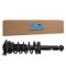 Rear Shock Spring Assembly LR= RR