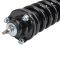 Shock & Spring Assembly