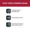 Fixes These Common Issues