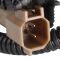 Wheel Bearing & Hub Assembly