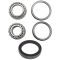 Wheel Bearing & Seal Kit