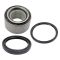 Wheel Bearing & Seal Kit