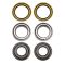 Wheel Bearing & Seal Kit