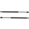 04-06 Nissan Maxima Hood Lift Support Pair