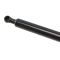 04-06 Nissan Maxima Hood Lift Support Pair