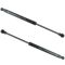 03-07 Nisan Murano Hood Lift Support Pair