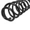 Coil Spring Set