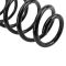 Coil Spring Set