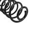 Coil Spring Set