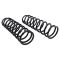 Coil Spring Set