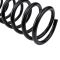 Coil Spring Set