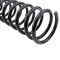 Coil Spring Set