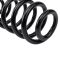 Coil Spring Set