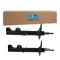 Strut Assembly Set