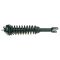 96-00 Honda Civic; 97-00 Acura EL Front & Rear Strut & Spring Assy (Set of 4)