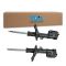 Strut Assembly Set