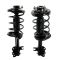 02-03 Nissan Maxima; 02-04 Infiniti I35 (Exc elect Susp) Rear Strut & Spring Ass