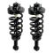 07-12 Ford Expedition, Lincoln Navigator (exc Elec Sus) Rear Strut & Spring PAIR