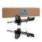 Strut Assembly Set