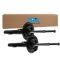 Strut Assembly Set