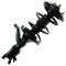 02-05 Honda Civic 2.0L Front & Rear Strut & Spring Assembly (Set of 4)