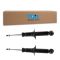Strut Assembly Set