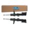 Strut Assembly Set