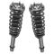 04-08 Acura TL Front Strut & Spring Assembly Pair